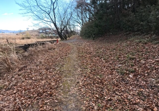 IMG_20250224_101923_026.jpg